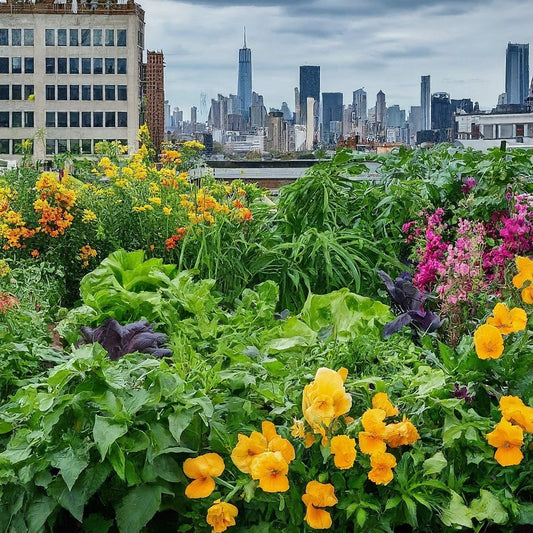 Sustainable Living: The Rise of Urban Gardening - Seeds In A Cup®