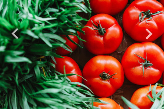 Tomato Disease & Pest: Identifying, Solving and Preventing Solutions to Tomato Disease and Pest - Seeds In A Cup®