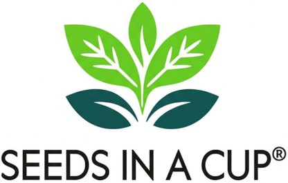 Seeds In A Cup® thyme starter kit – basil, mint, parsley for indoor gardening