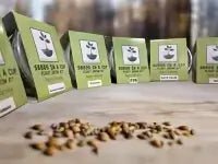 American Elm Affordable seed grow kit made in USA – perfect gift for kids, families, and classrooms