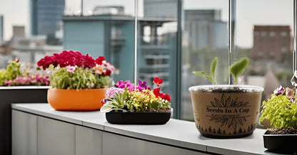 American Holly | Tree Seed Starter Grow Kit | Seeds In A Cup® Seed Germination Kit grow kit seeds for easy indoor gardening