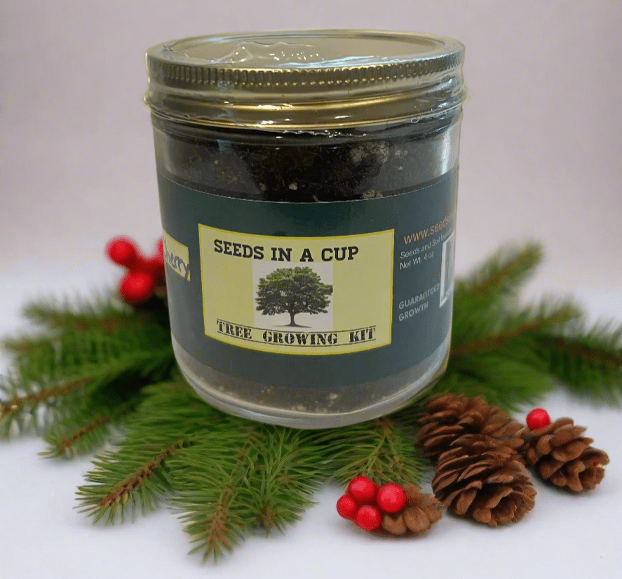 Apricot Tree Affordable seed grow kit made in USA – perfect gift for kids, families, and classrooms