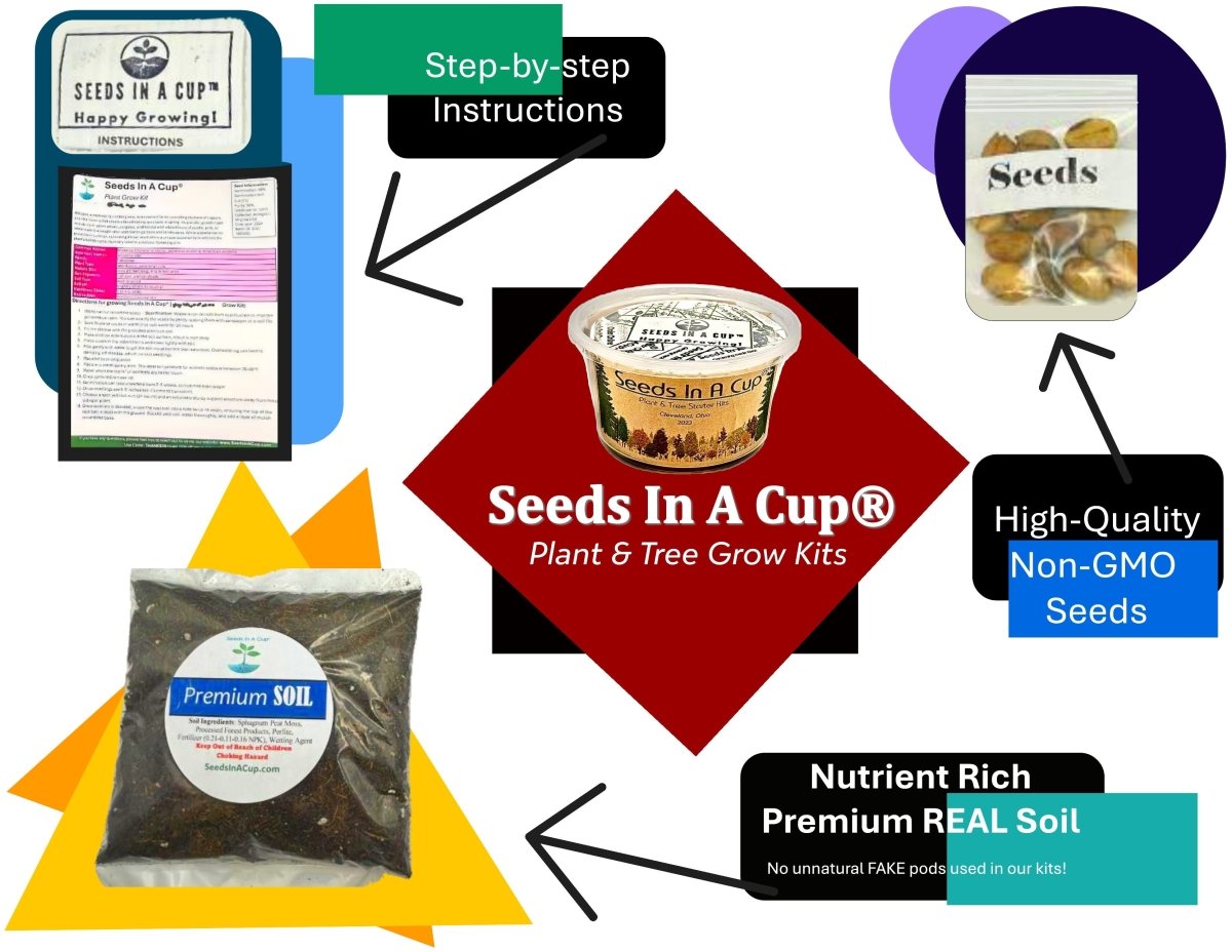 Basil | Plant Seed Starter Grow Kit | Seeds In A Cup® Seed Germination Kit grow kit by Seeds In A Cup