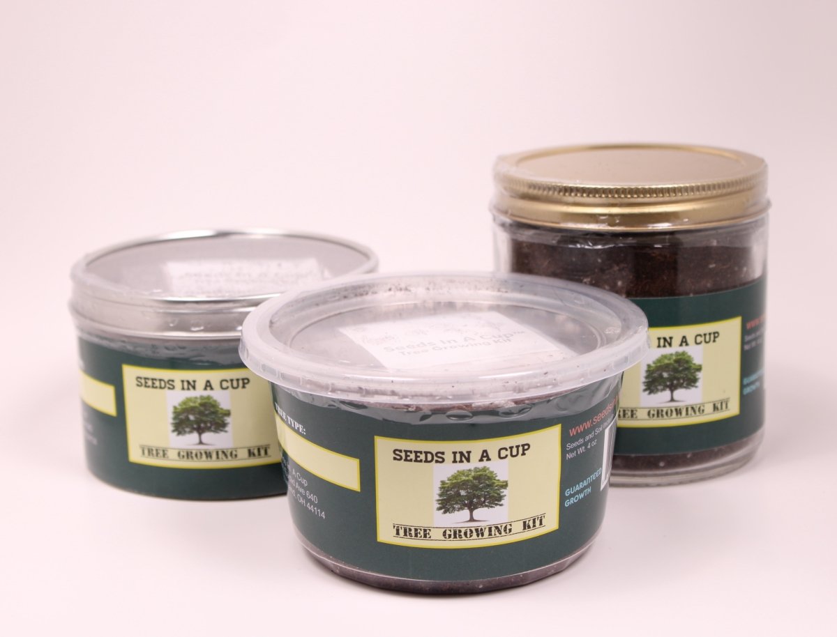 Dessert Grape Affordable seed grow kit made in USA – perfect gift for kids, families, and classrooms