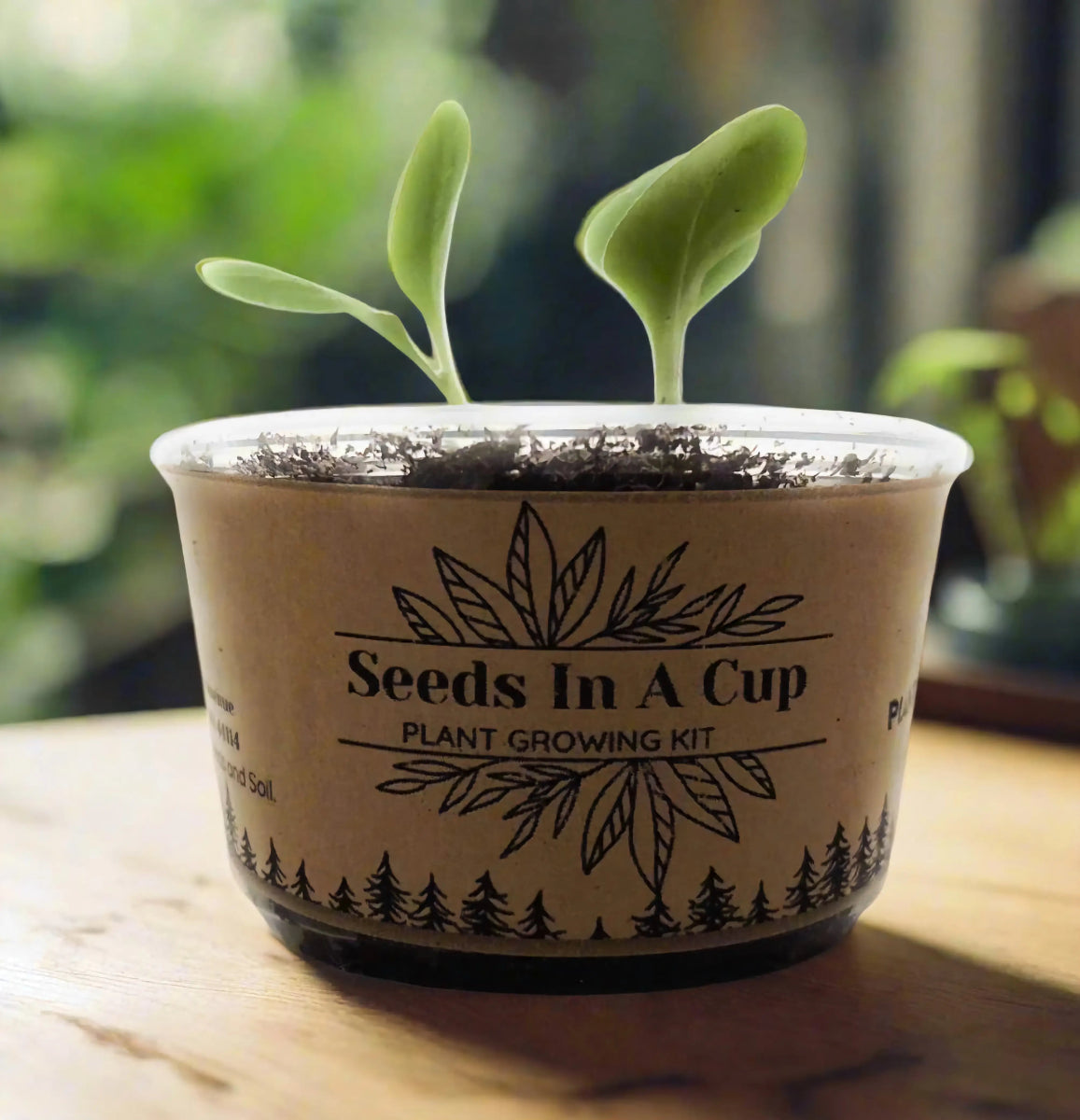 plant growing kit with how to grow from seed Seeds In A Cup best grow kit