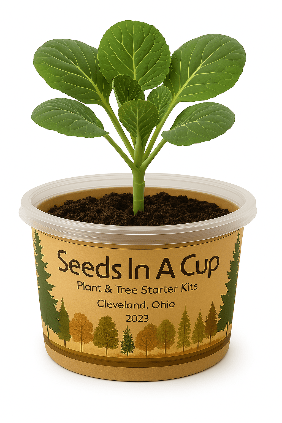 Family-friendly plant grow kit – grow together with Seeds In A Cup® seed kits