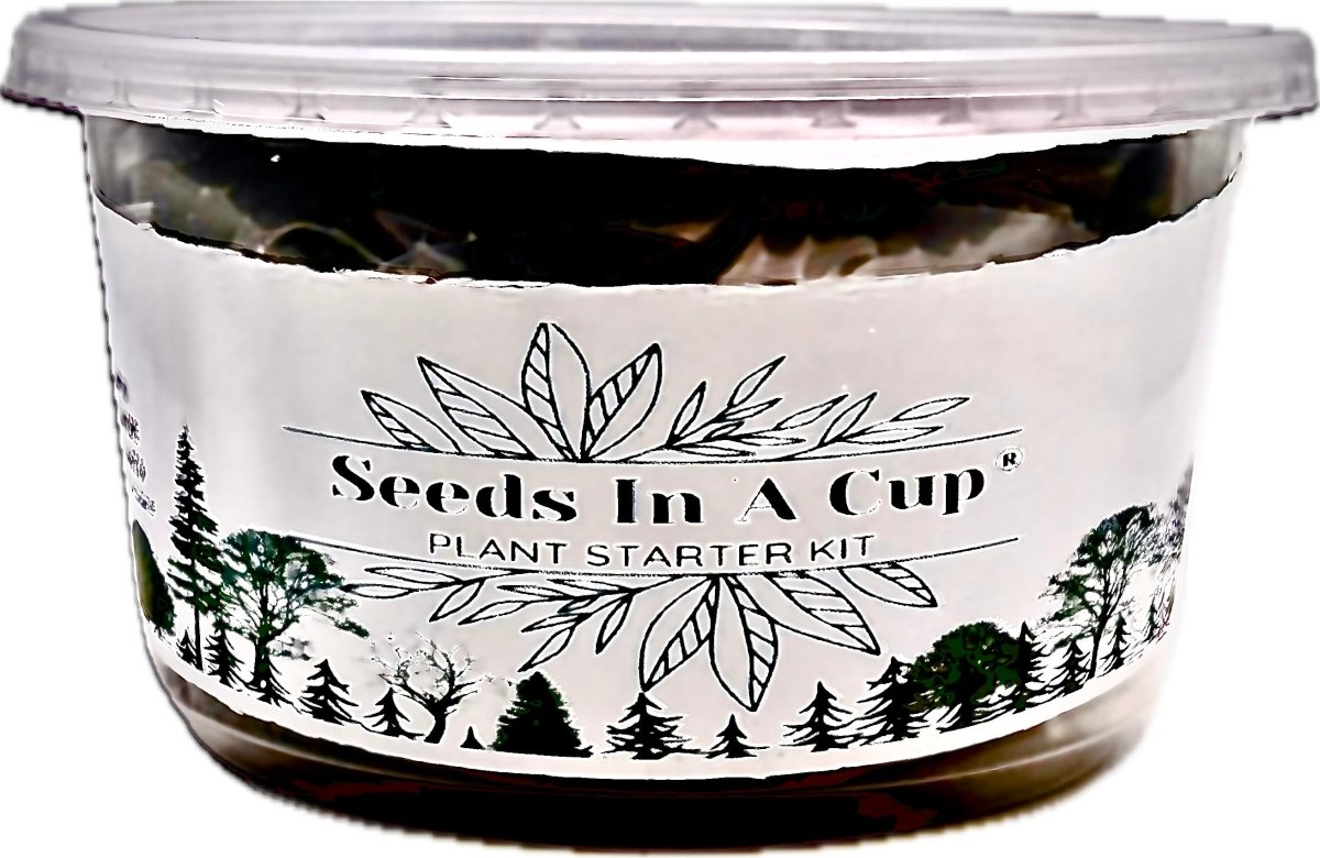 Gift-ready plant grow kit from Seeds In A Cup® – perfect for birthdays, holidays, and teacher