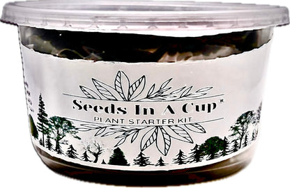 Gift-ready plant grow kit from Seeds In A Cup® – perfect for birthdays, holidays, and teacher