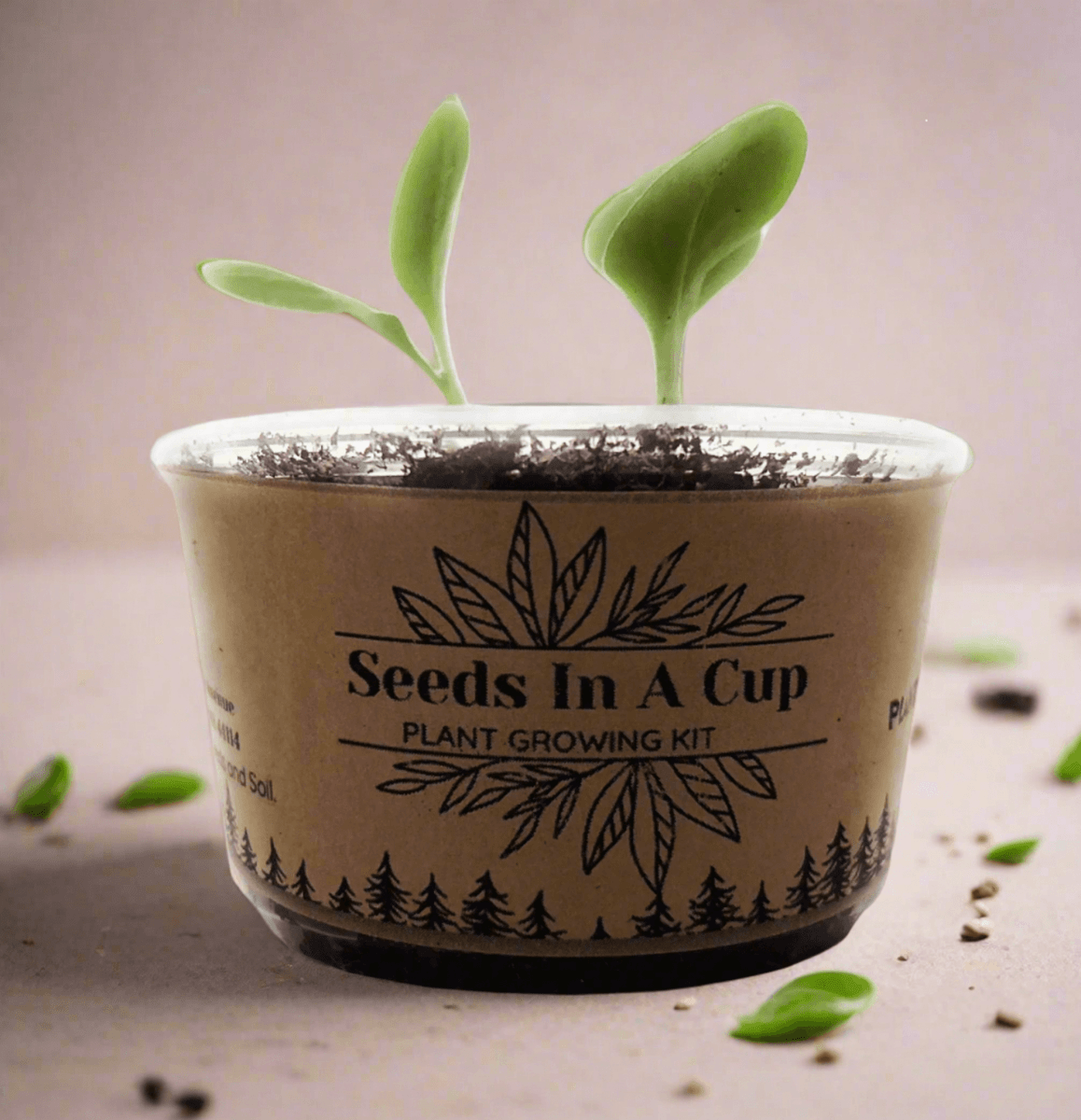 DIY seed grow kit from SeedsInACup.com – easy gardening for kids, families, and classrooms