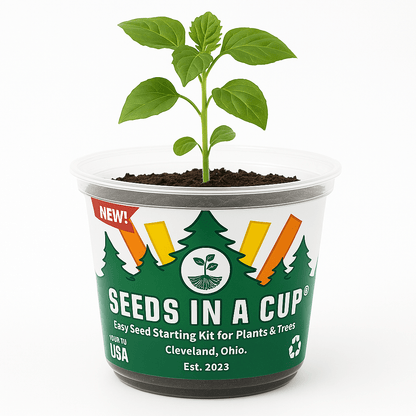 All-in-one seed starter kit from SeedsInACup.com – just add water and sunlight