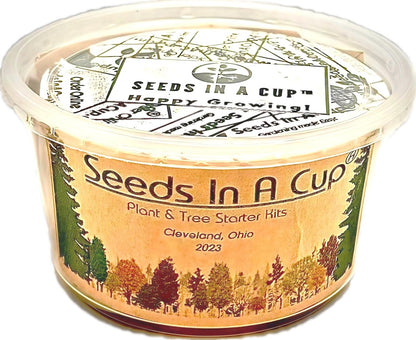 DIY seed grow kit from SeedsInACup.com – easy gardening for kids, families, and classrooms