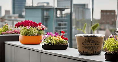 Seeds In A Cup® tree grow kit – grow maple, cherry, bonsai, and fruit trees from seed