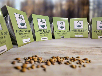 SEEDS IN A CUPSeeds In A Cup®PLASTIC MINI GREENHOUSE7