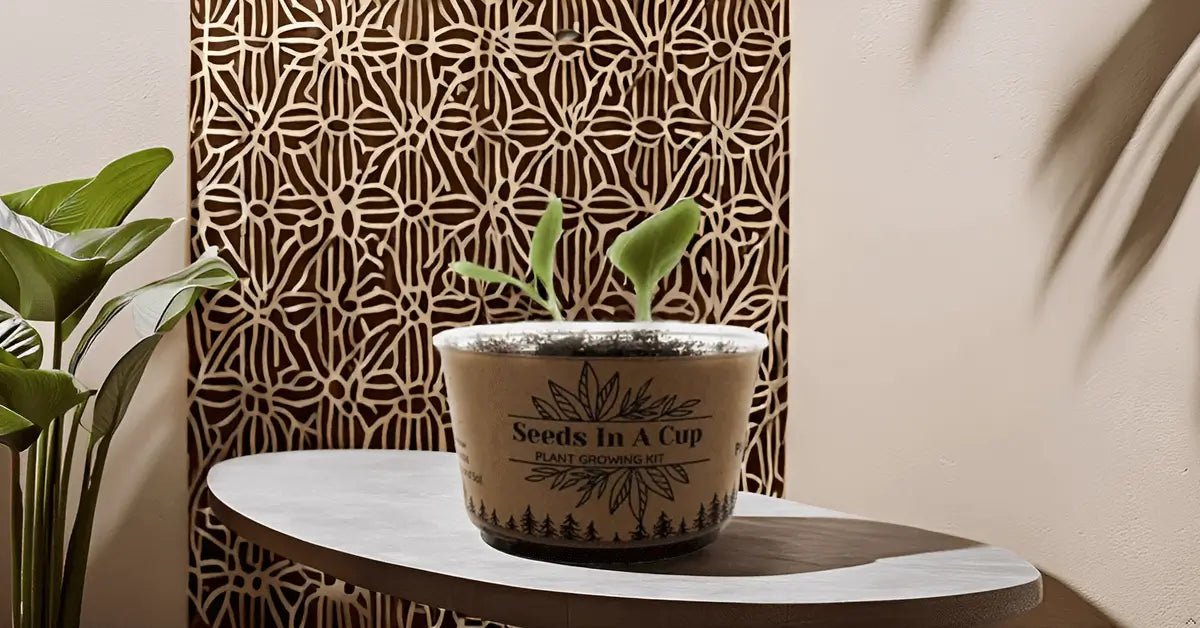 Onion  Plant Seed Starter Grow Kit Top-rated seed starter kit – grow herbs, vegetables, and trees