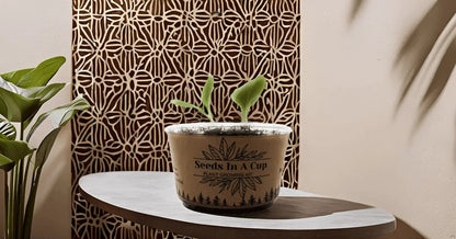 Onion  Plant Seed Starter Grow Kit Top-rated seed starter kit – grow herbs, vegetables, and trees