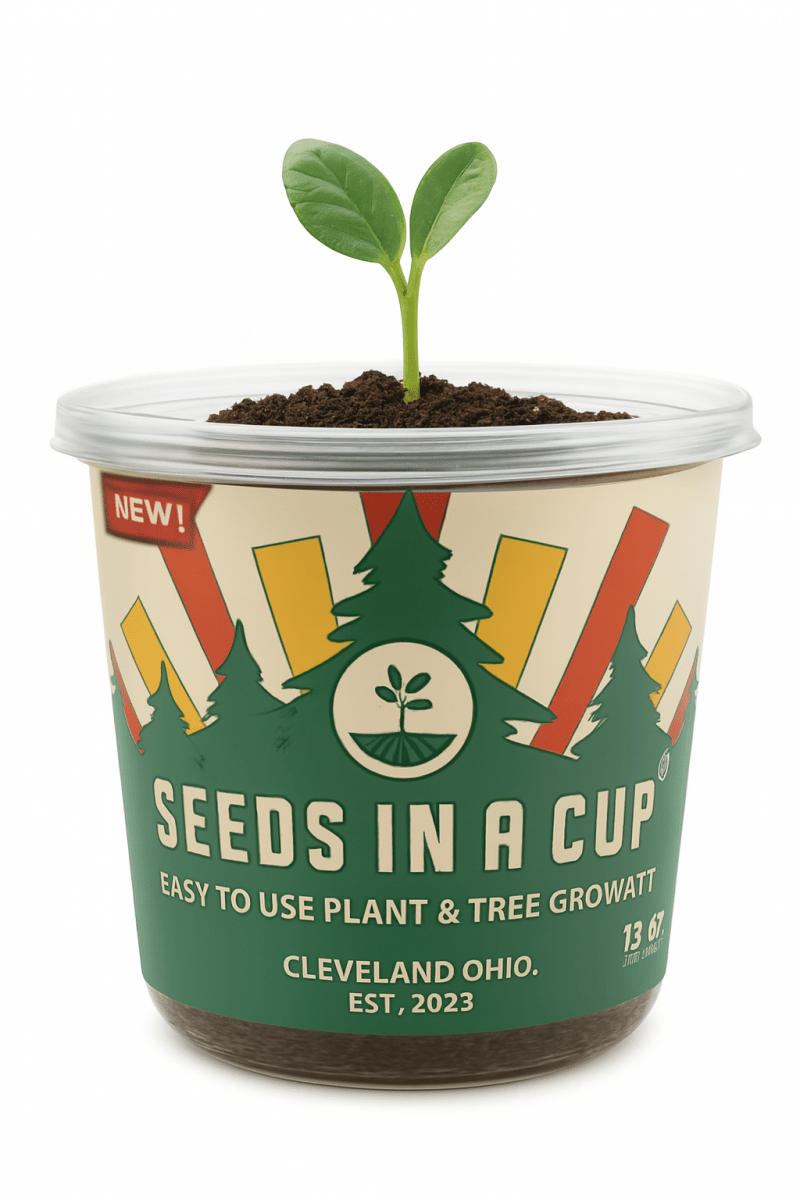 Seed Germination Kit Seeds In A Cup Seeds In A Cup®5