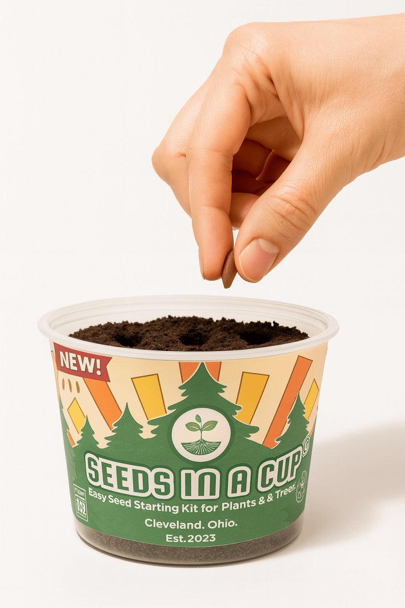 Seed Germination Kit Seeds In A Cup Seeds In A Cup®3