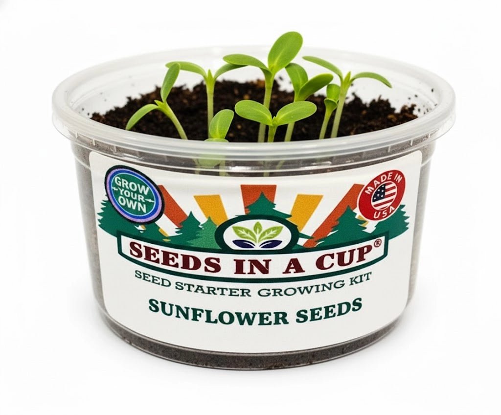 Seed Germination KitSeeds In A CupSeeds In A Cup®2