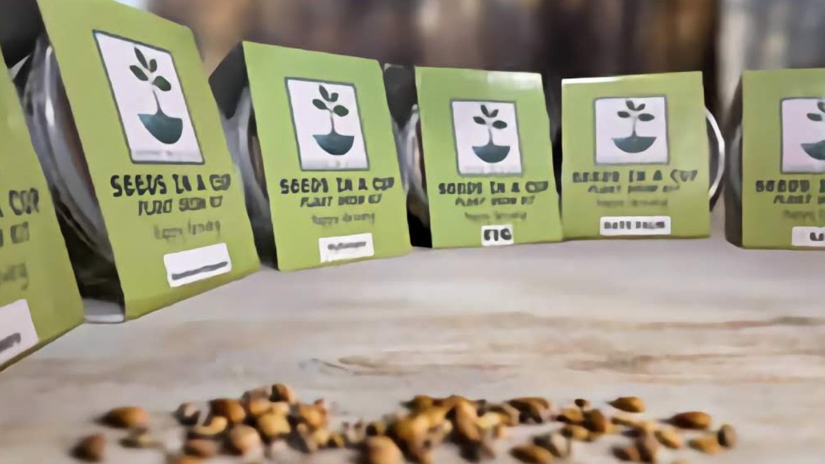 Seeds In A Cup® Original Herb Kit Seed Germination Kit grow kit by Seeds In A Cup - Plant GRow Kit Tree GRow Kit Seed