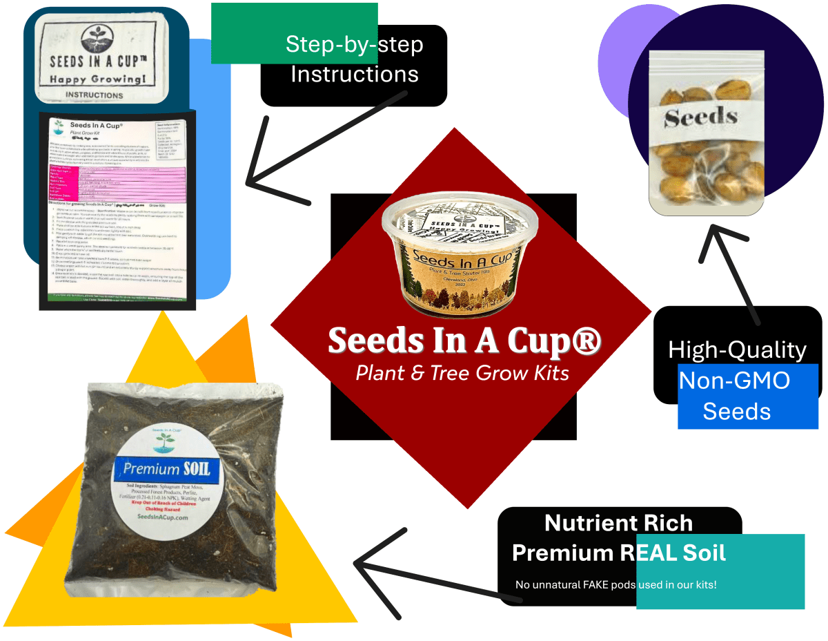 Top-rated seed starter kit – grow herbs, vegetables, and trees with Seeds In A Cup