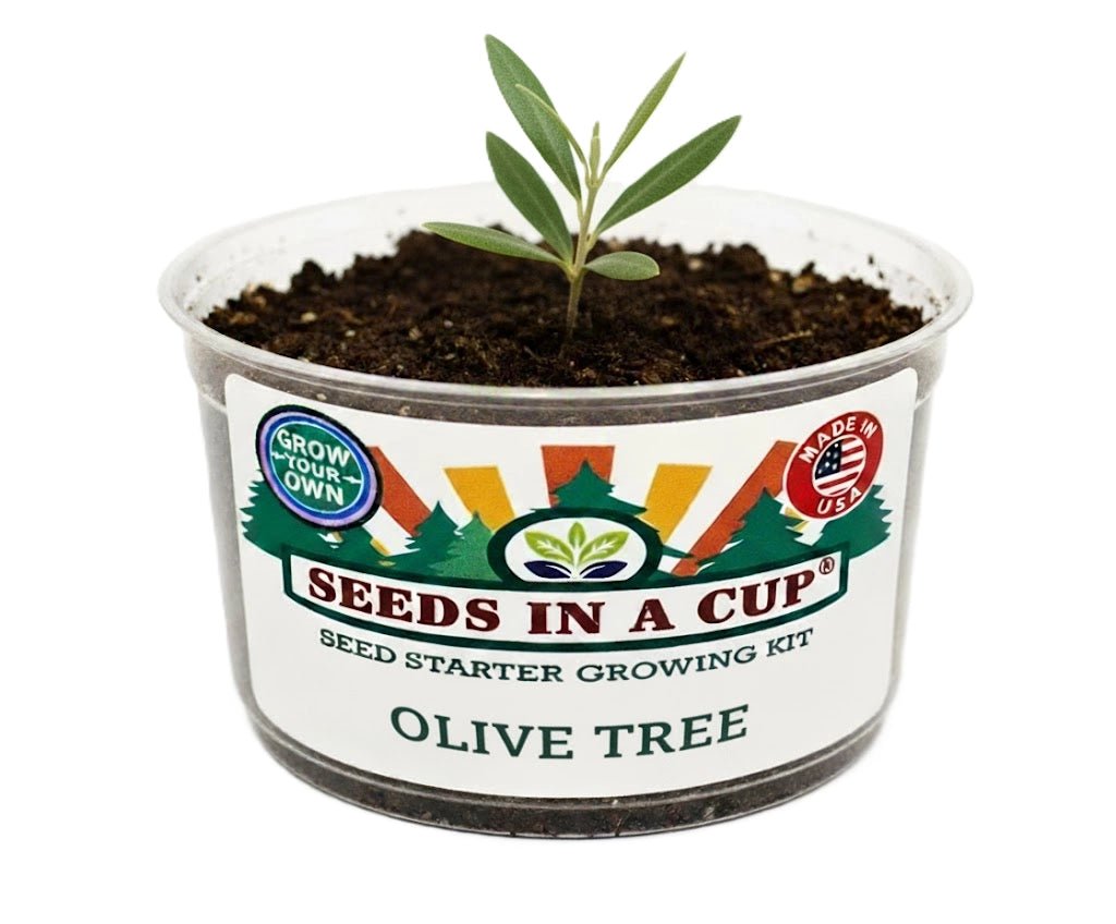 Tree Seed Starter KitSEEDS IN A CUPSeeds In A Cup®1