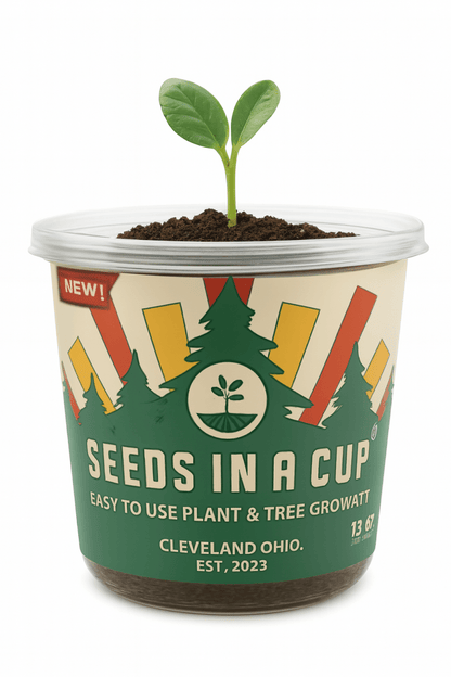 Plant grow kit by Seeds In A Cup® – Made in USA, beginner-friendly, and gift-ready